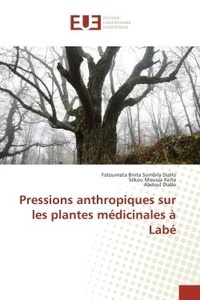 Fatoumata Diallo - Pressions anthropiques sur les plantes medicinales A Labe.