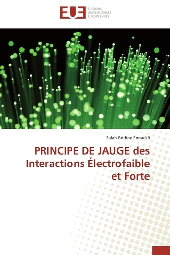 Salah Eddine Ennadifi - PRINCIPE DE JAUGE des Interactions Électrofaible et Forte.