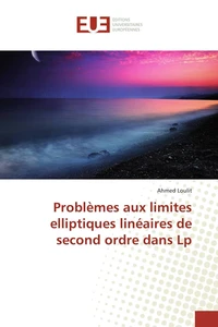 Problèmes aux limites elliptiques linéaires de second ordre dans Lp