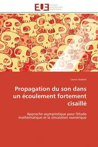 Propagation du son dans un écoulement fortement cisaillé