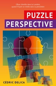 Cédric Delica - Puzzle perspective.