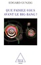Edgard Gunzig - Que faisiez-vous avant le Big Bang ?.