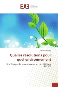 Quelles resolutions pour quel environnement