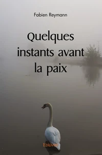 Quelques instants avant la paix