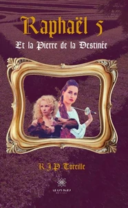 Raphaël et la pierre de la destinée