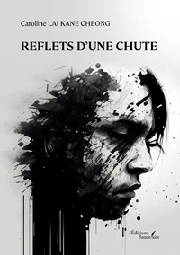 Reflets d'une chute