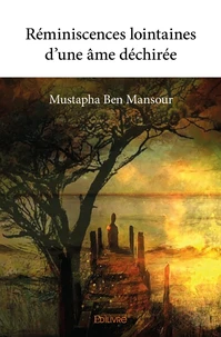 Réminiscences lointaines d'une âme déchirée