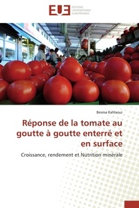 Besma Kahlaoui - Réponse de la tomate au goutte à goutte enterré et en surface - Croissance, rendement et Nutrition minérale.