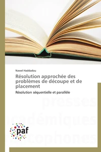 Résolution approchée des problèmes de découpe et de placement