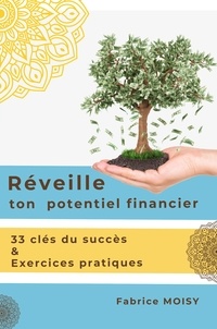 Fabrice Moisy - Réveille ton potentiel financier - 33 clés du succès & exercices pratiques.