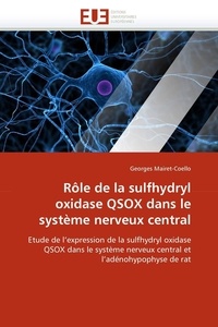  Mairet-coello-g - Rôle de la sulfhydryl oxidase qsox dans le système nerveux central.
