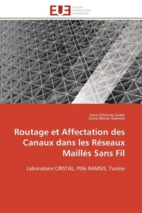 Routage et Affectation des Canaux dans les Réseaux Maillés Sans Fil