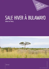 Sale hiver à Bulawayo
