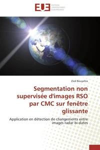 Segmentation non supervisée d'images RSO par CMC sur fenêtre glissante