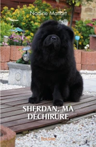 Sherdan, ma déchirure