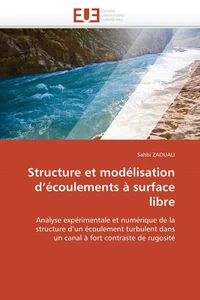 Structure et modélisation d écoulements à surface libre