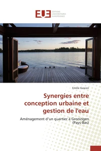 Synergies entre conception urbaine et gestion de l'eau