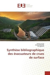 Hamza Souli et Jihane Ahattab - Synthèse bibliographique des évacuateurs de crues de surface.