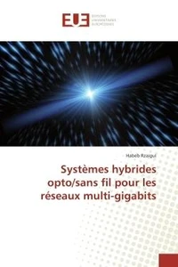systemes hybrides opto/sans fil pour les reseaux multi-gigabits