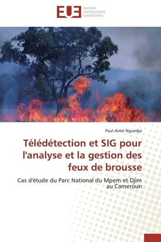  Nguedjo-p - Télédétection et sig pour l'analyse et la gestion des feux  de brousse.