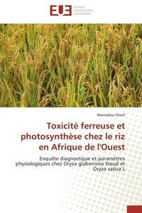  Cherif-m - Toxicité ferreuse et photosynthèse chez le riz en afrique de l'ouest.