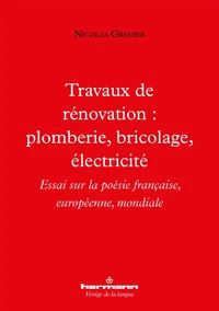 Travaux de rénovation : plomberie, bricolage, électricité
