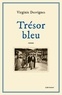 Virginie Desvignes - Trésor bleu.