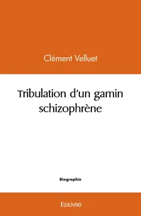 Tribulation d'un gamin schizophrène