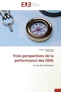 Trois perspectives de la performance des ong