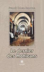 Un bonhomme de chemin