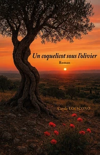 Un coquelicot sous l'olivier