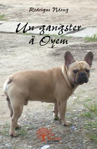 Un gangster à Oyem