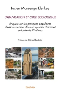 Urbanisation et crise écologique