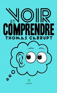 Voir et comprendre