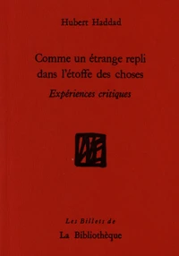 Comme un étrange repli dans l'étoffe des choses