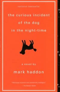 The Curious Incident of the Dog in the Night-Time