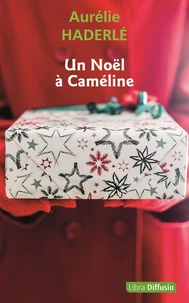 Un Noël à Caméline