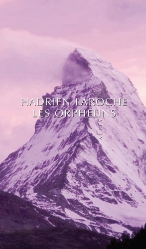 Hadrien Laroche - Les Orphelins.