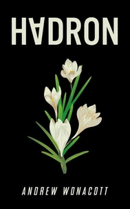 Hadron