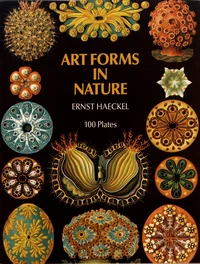 Art Forms in Nature