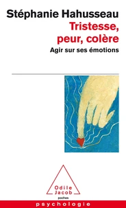 Tristesse, peur, colère