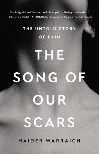 The Song of Our Scars. The Untold Story of Pain
