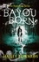 Bayou Born