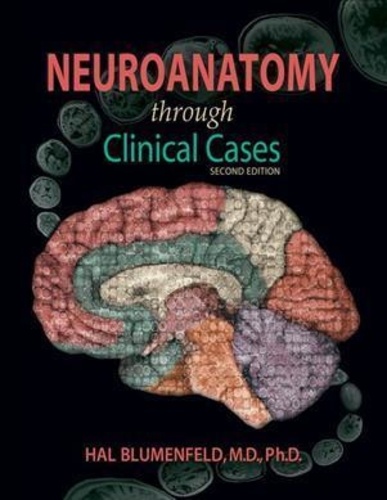 Hal Blumenfeld - Neuroanatomy through Clinical Cases. - 2nd Edition.