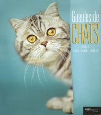 Gueules de chats