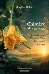 Chimère de l'instant