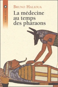 La Medecine Au Temps Des Pharaons