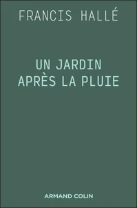 Un jardin après la pluie