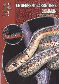Le serpent-jarretière commun