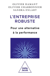 L'entreprise robuste